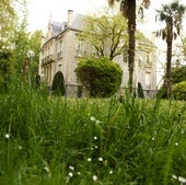 Un jardín de Vitoria con la hierba alta