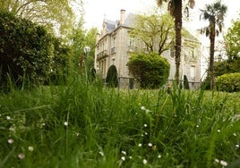 Un jardín de Vitoria con la hierba alta