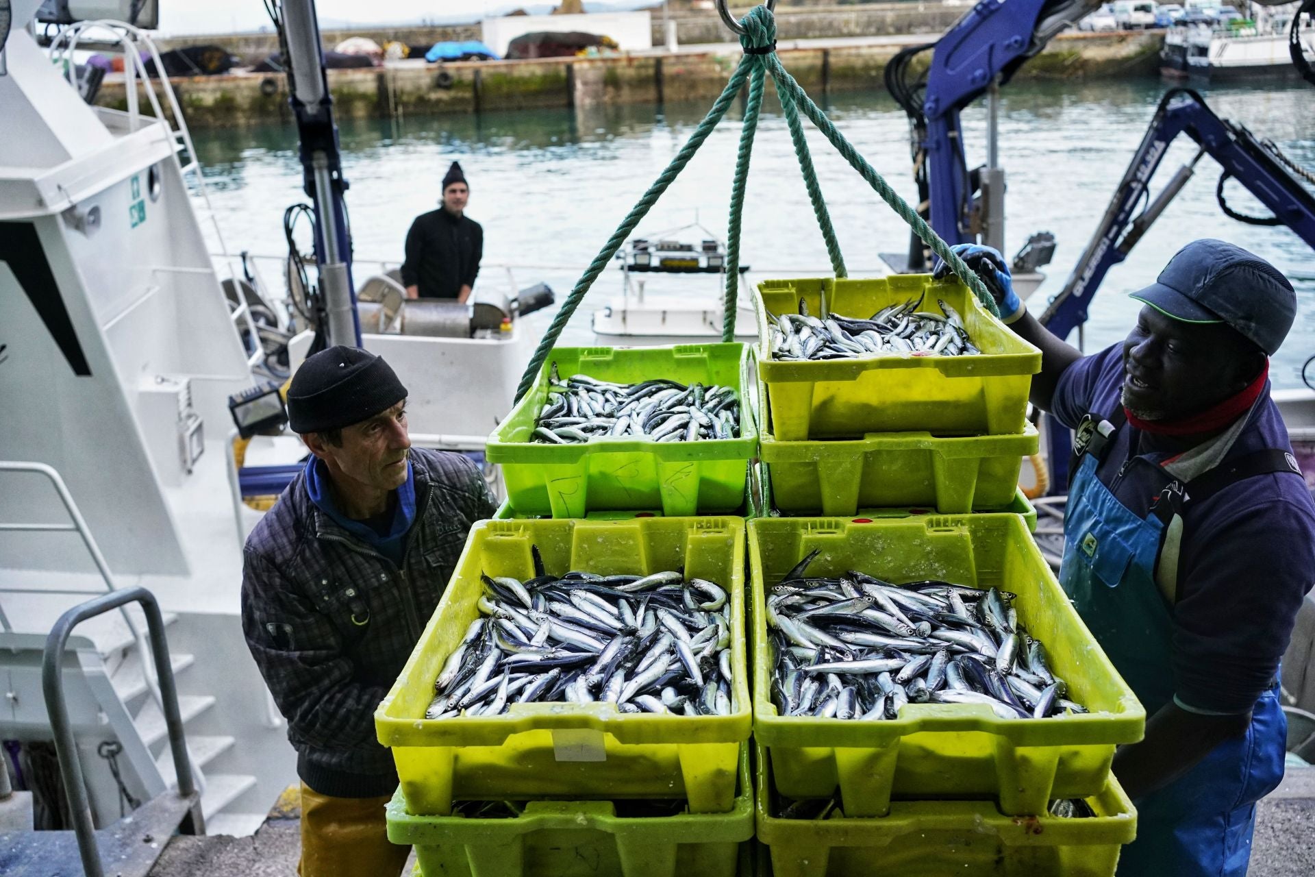 Luz verde al nuevo reparto de la cuota de la anchoa para la flota del Cantábrico