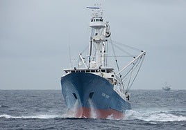 El atunero congelador 'Txori Aundi', perteneciente a la empresa Inpesca de Bermeo, navega en aguas del Índico.