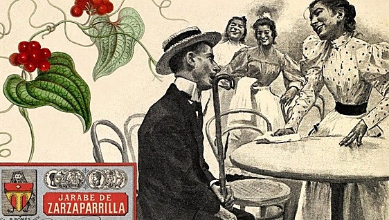 Zarzaparrilla, remedio contra la sífilis y refresco