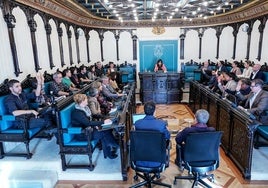 Un pleno de este año en el Ayuntamiento de Vitoria.