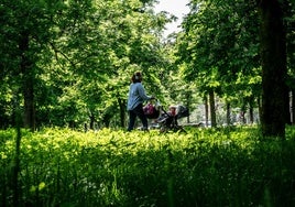 Las hierbas han ido ganando altura conforme se ha ido alargando la huelga de los jardineros