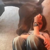 Los gestos de cariño de un caballo para consolar a una joven que llora