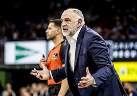 Pablo Laso da instrucciones a sus jugadores.