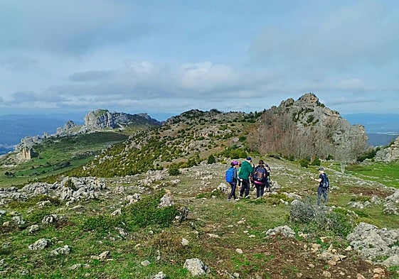 Vista de Sierra Toloño.