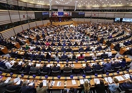 El debate de la oficialidad del catalán y el euskera evidencia el desconocimiento que existe de la UE