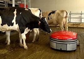 La granja Ametsleku de Carranza, con innovaciones como una aspiradora enorme para limpiar el recinto, cuenta con este sello.