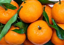 Una experta en seguridad alimentaria advierte del error que muchos cometen al comer mandarinas