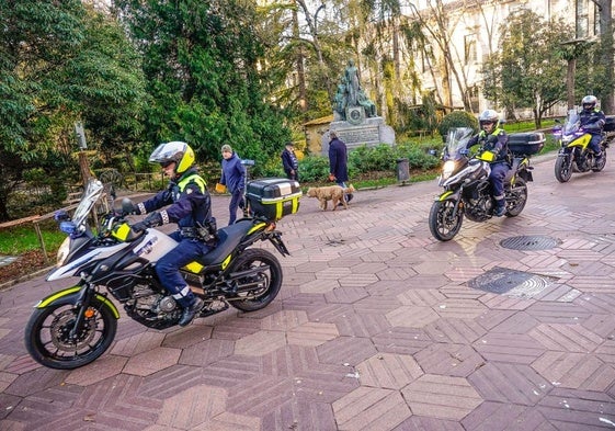 Detenido en Vitoria tras arrancar una cadena de oro a una mujer al entrar a su portal