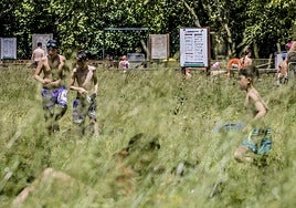 La altura de la hierba, que en algunas zonas alcanzaba los 120 centímetros, dificultaba la visibilidad.