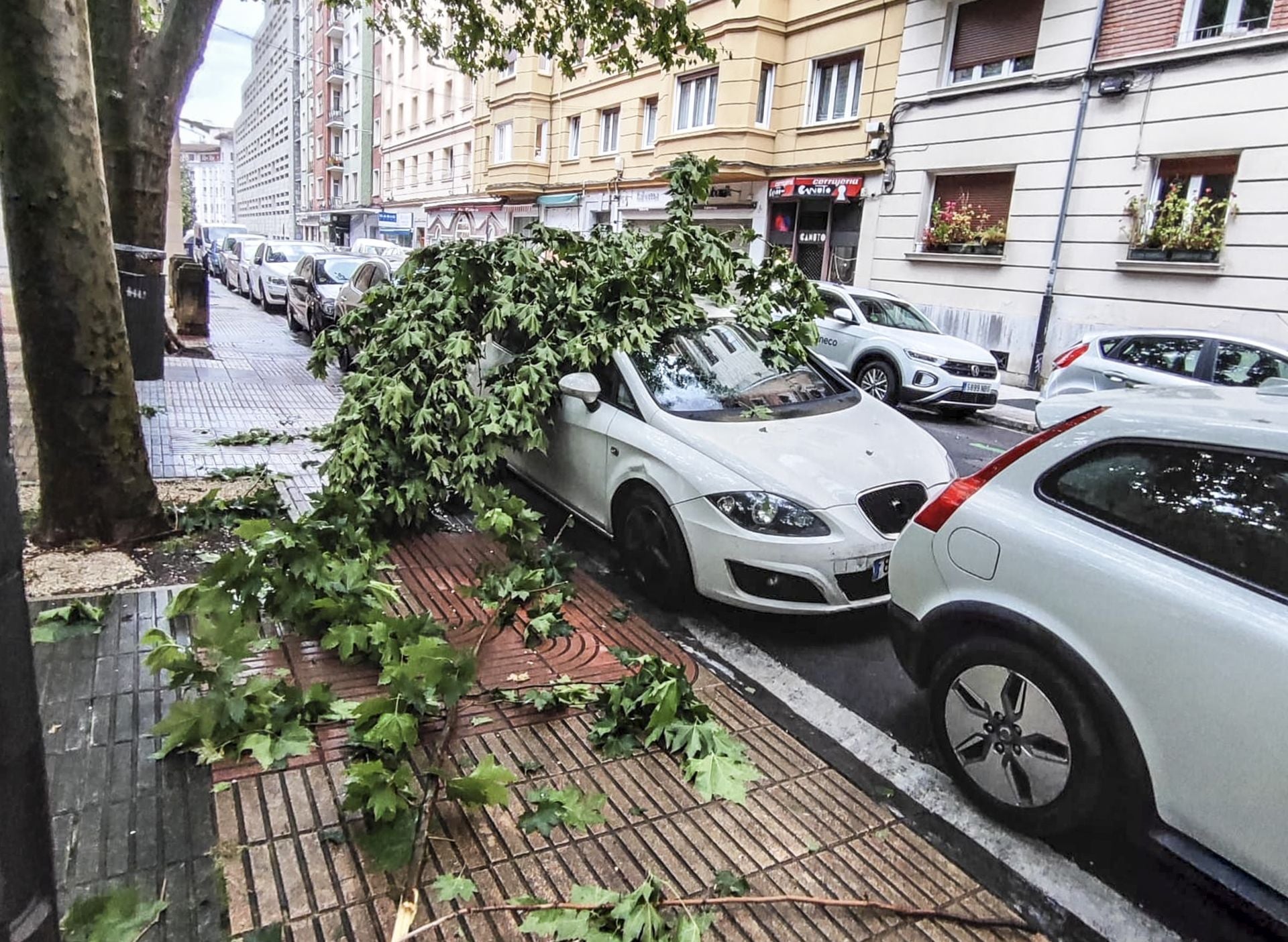Vitoria retira los daños de la tormenta del viernes con la amenaza de más trombas este sábado