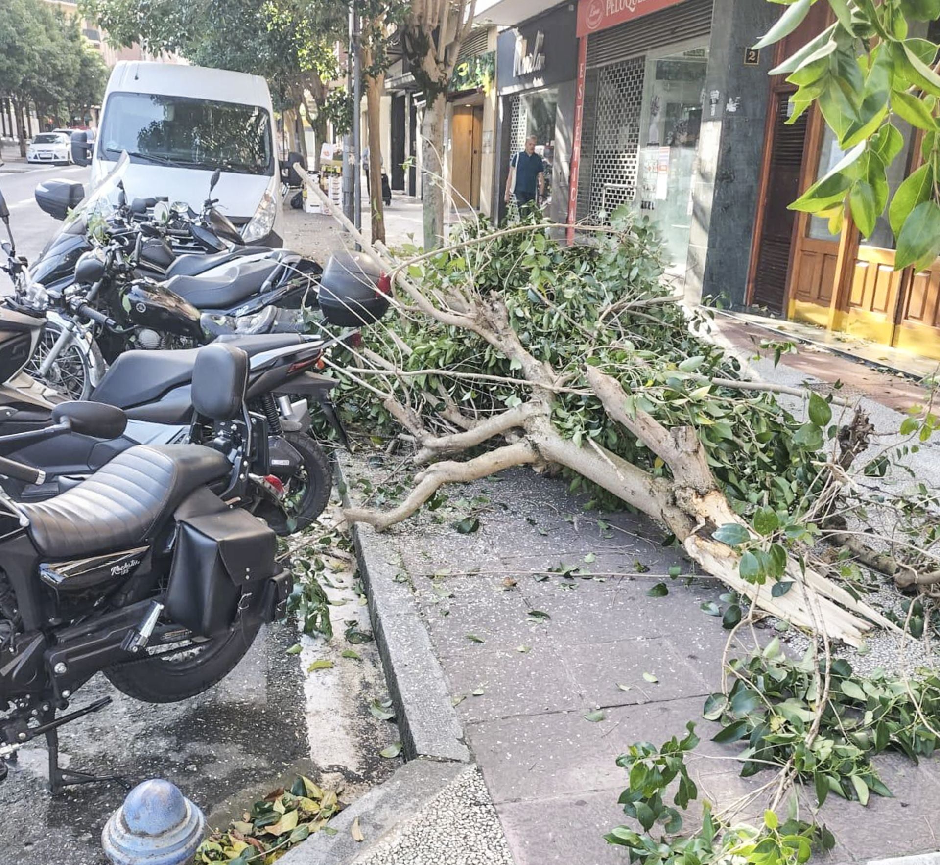 Vitoria retira los daños de la tormenta del viernes con la amenaza de más trombas este sábado