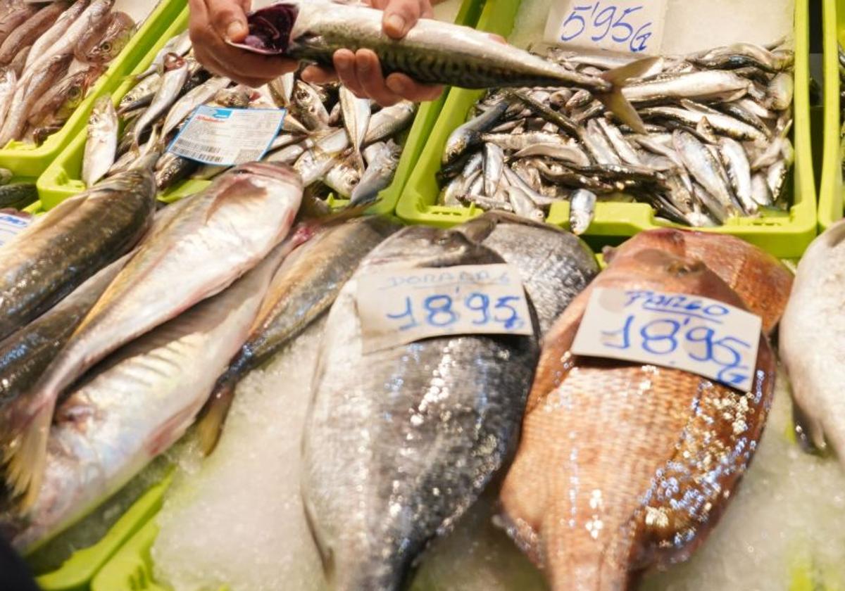Alerta alimentaria «grave» por mercurio en un conocido pescado con origen español