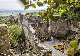 Santa Catalina rebrota con fuerza