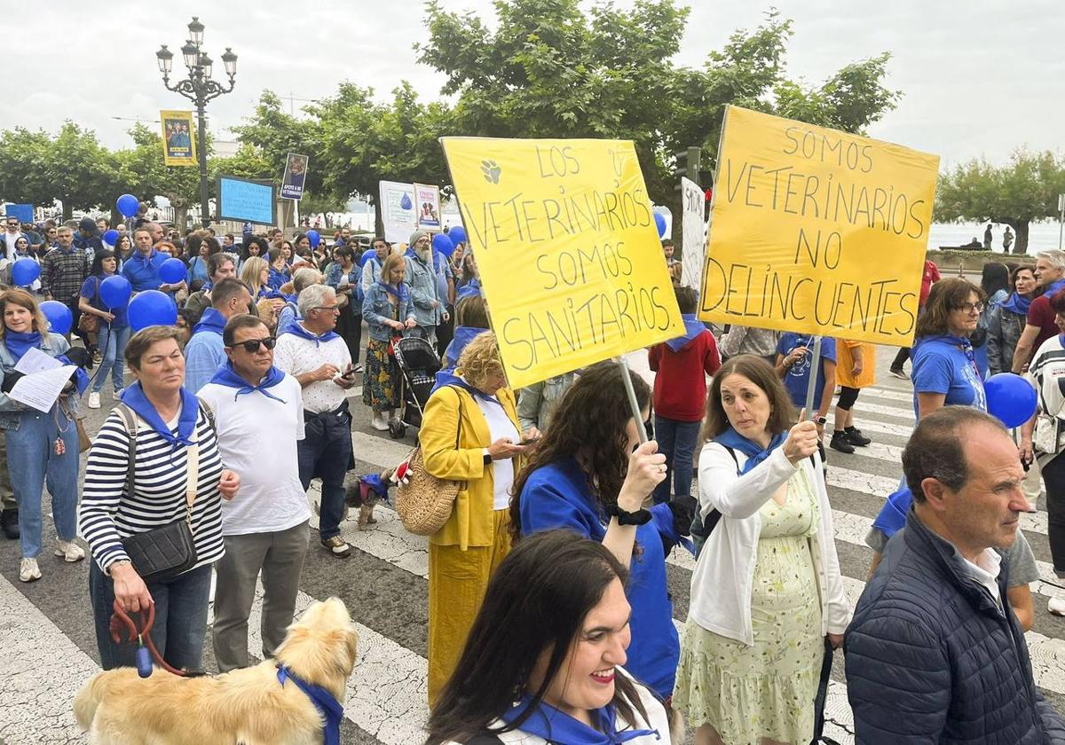 Veterinarios piden «un acceso rápido a los tratamientos»