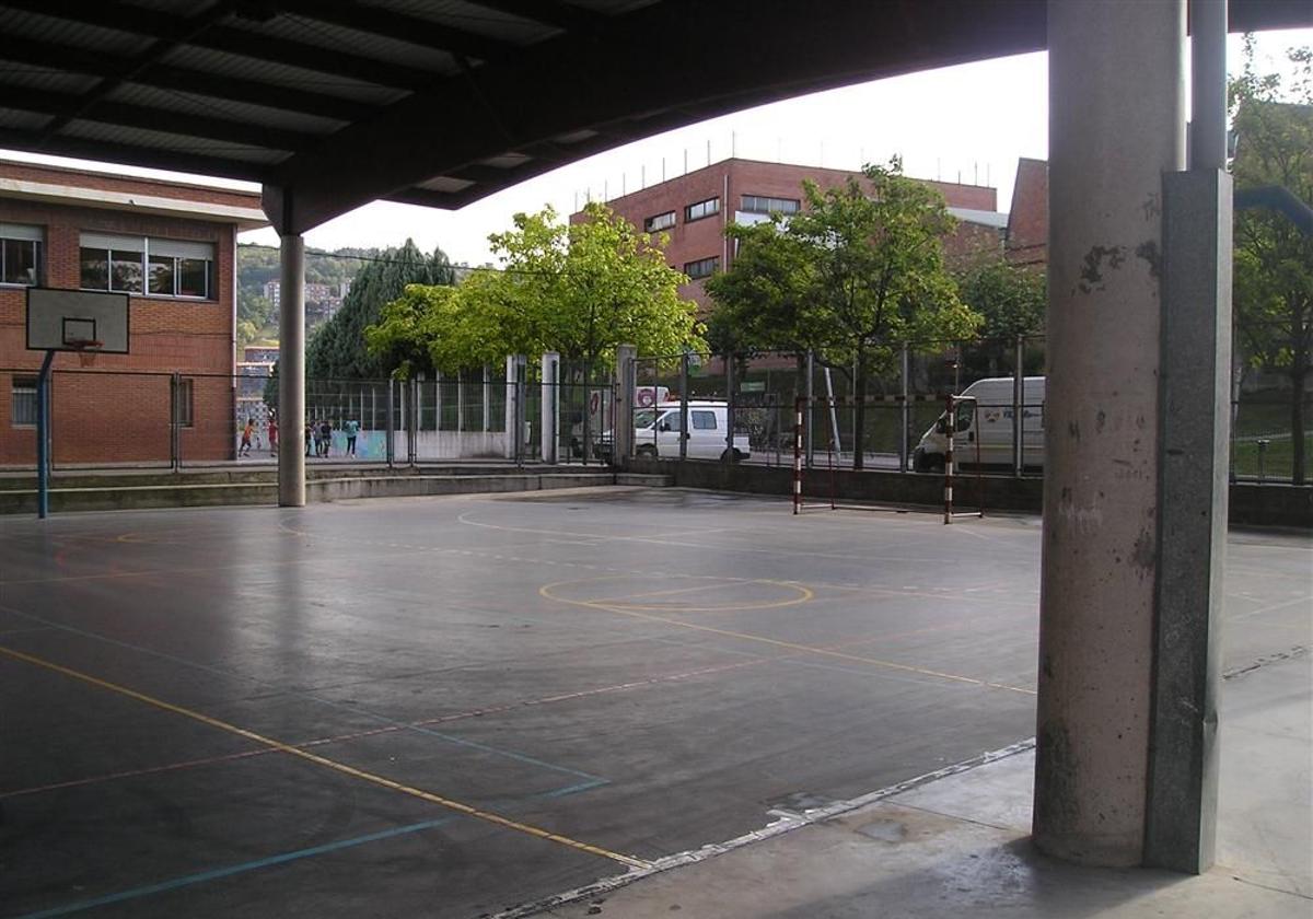 Varios casos de tiña ponen en alerta a un instituto de Basauri
