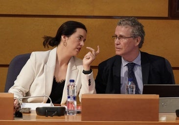 La diputada foral, Itxaso Berrojalbiz, y el director de Hacienda, Antonio Pérez, han comparecido este jueves en las Juntas Generales.