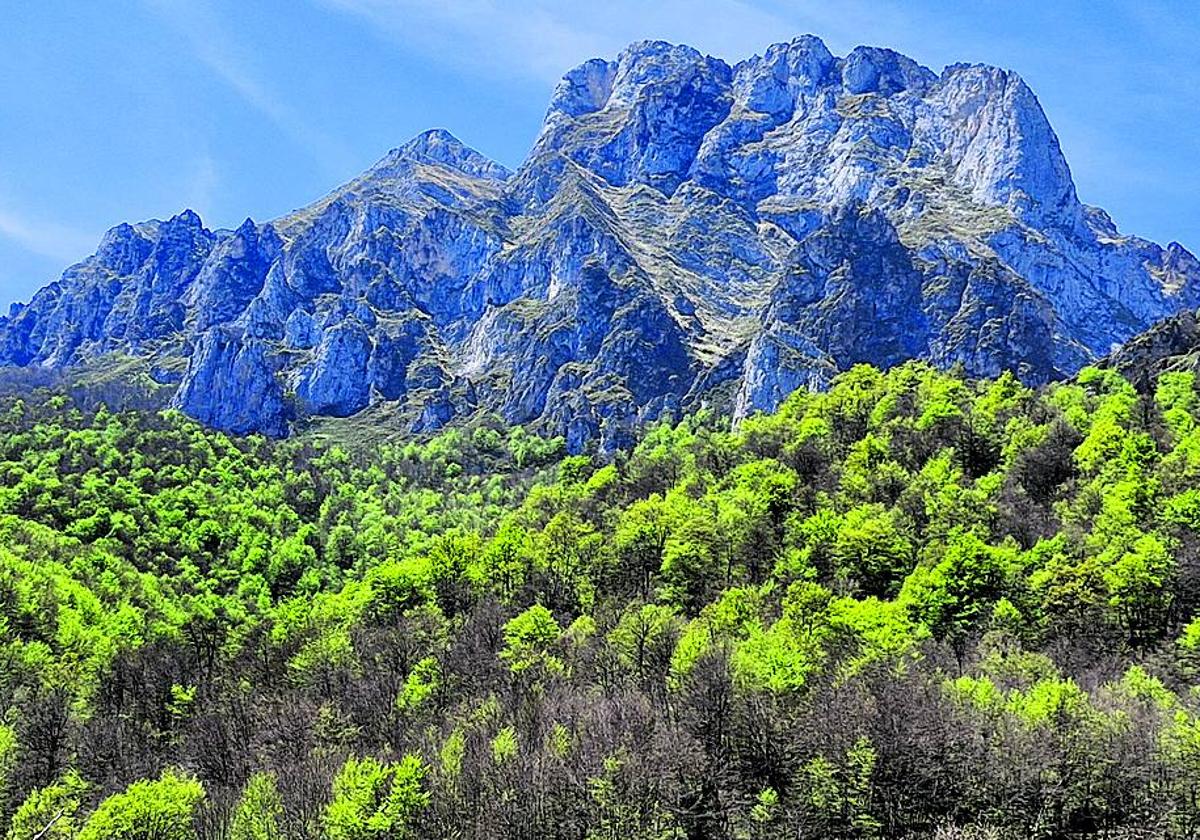 El bosque y los Picos de Europa forman una postal de cuento.