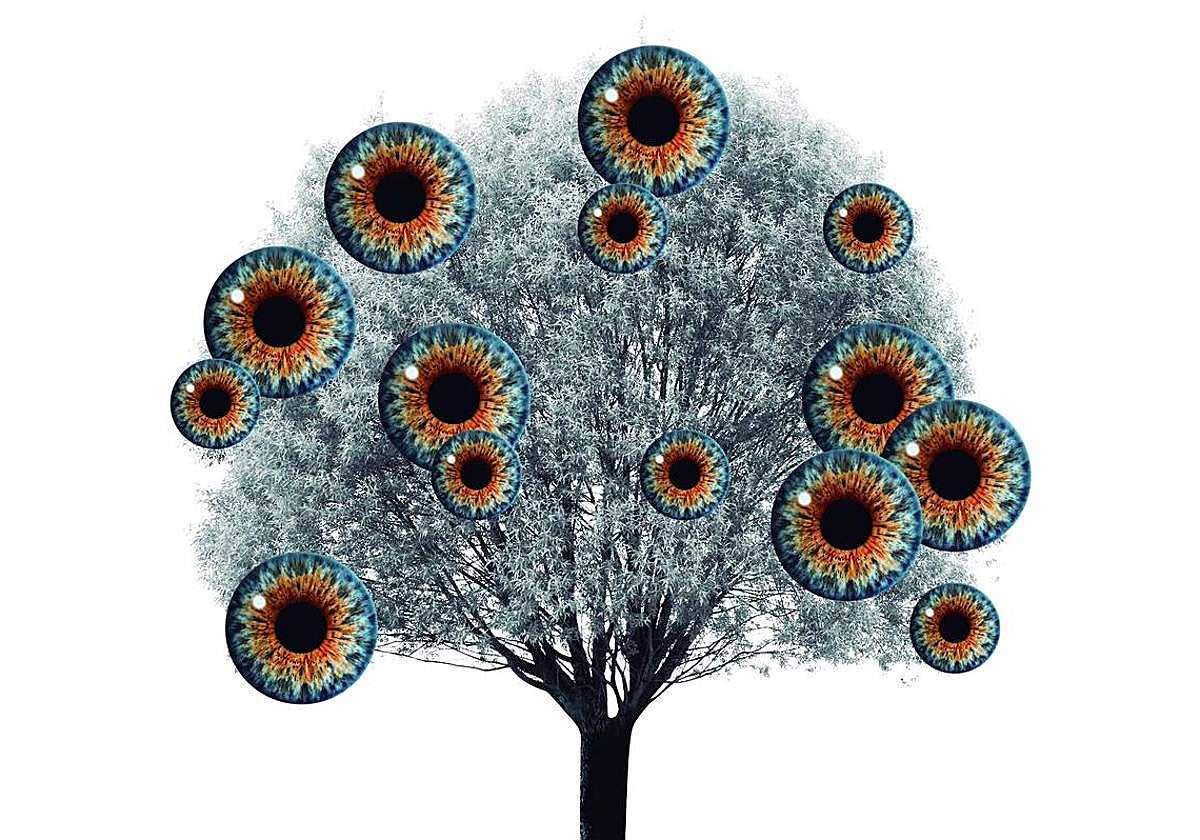 Mirar desde la distancia adecuada