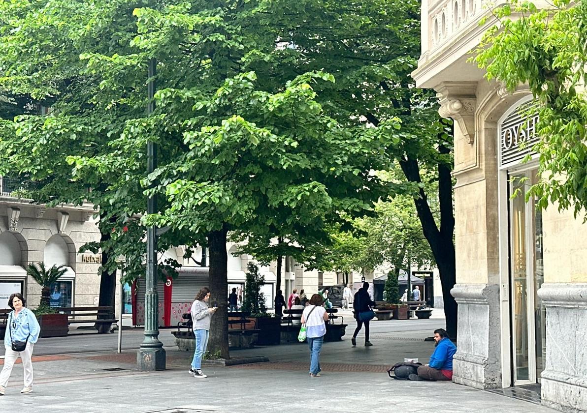Oier, en la Gran Vía de Bilbao sin su perro.