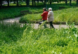 Una mujer y su cuidadora pasean por una zona de jardines asilvestrada