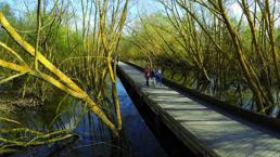 Un territorio para disfrutar a través del agua