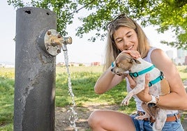 Una joven refresca a un perrito en una fuente de Salburua.
