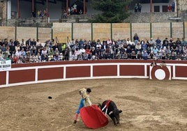Imagen de una novillada en Trucios.