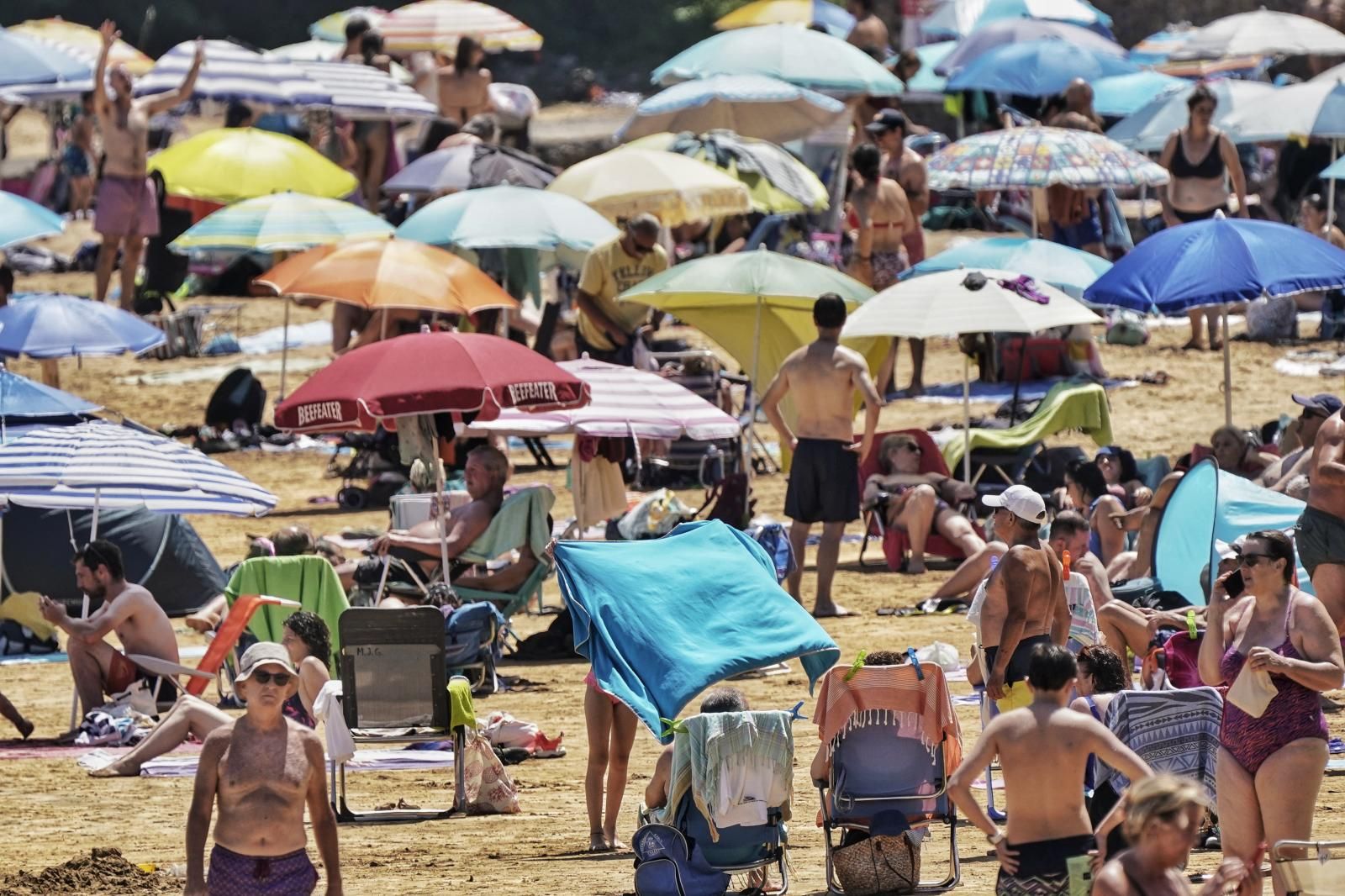 Las imágenes del intenso calor en Bizkaia