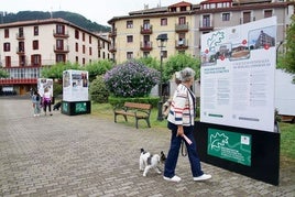 Los soportes expositivos estarán en el paseo de Itsas Aurre de Ondarroa hasta finales de mes.