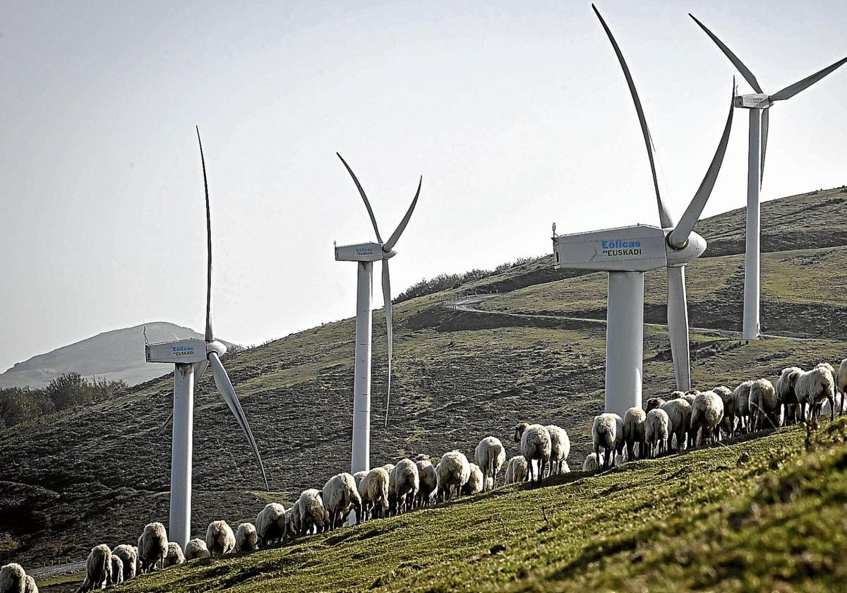EH Bildu critica ahora las posturas «cerradas» contra los parques eólicos y fotovoltaicos
