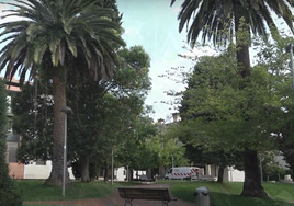 El objetivo es detener la expansión del picudo rojo en las palmeras de Getxo.