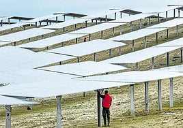 Huerto solar del parque fotovoltaico de Ekienea, en la localidad alavesa de Armiñón