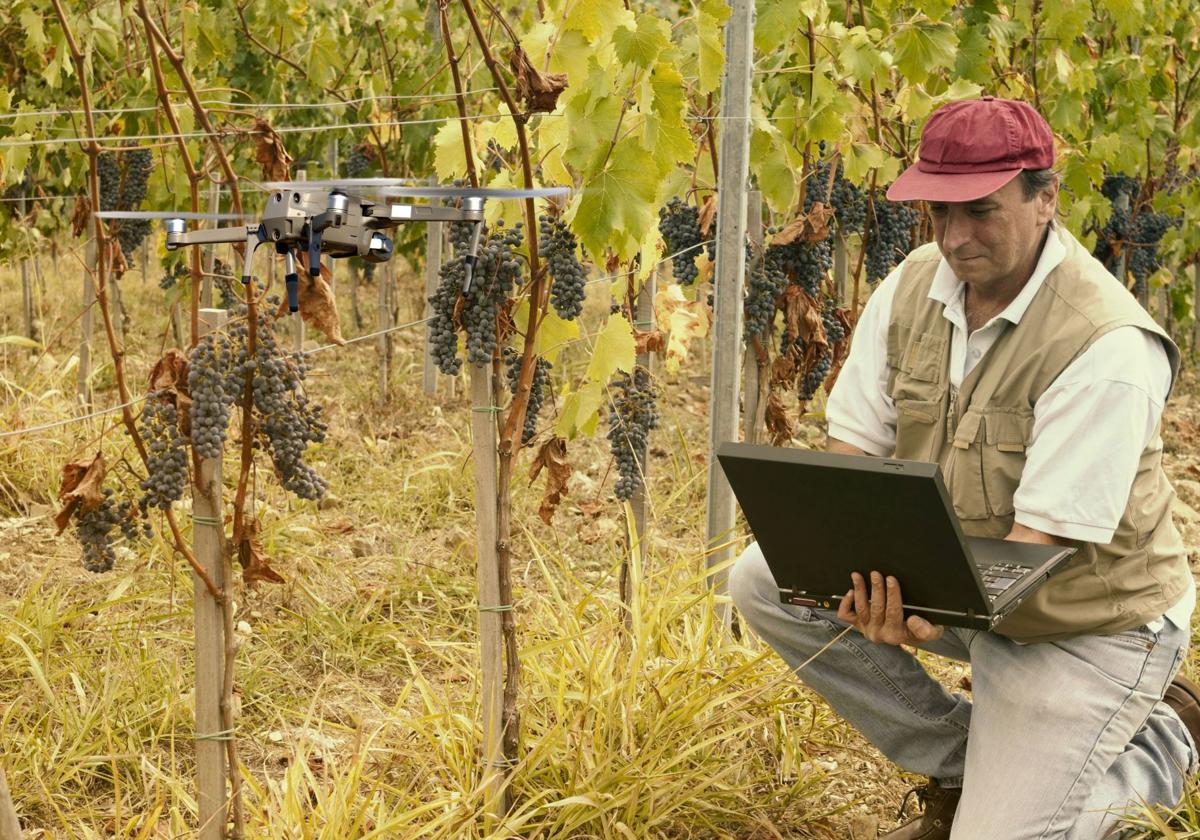 Un trabajador del campo maneja un dron.