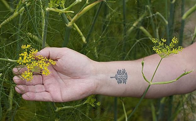 Aduriz se tatuó el símbolo de Mugaritz (el roble de la muga) en su antebrazo.