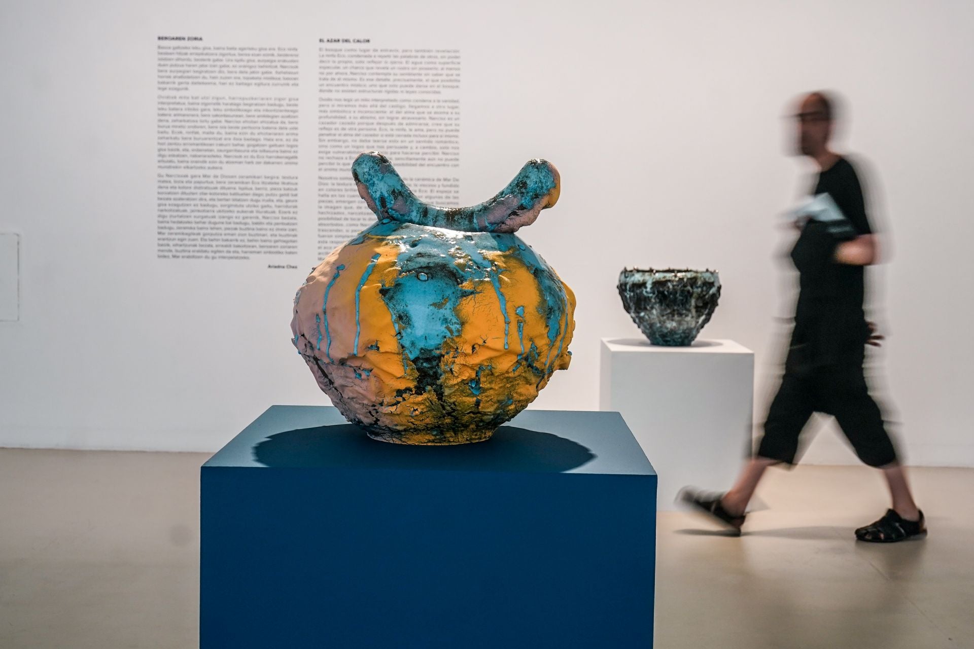 La artista vasca Mar de Dios expone &#039;Espejo de agua y flores&#039; en Vitoria