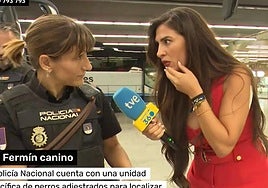 El momento surrealista de una reportera de RTVE en Sanfermines: un perro policía encuentra droga a una joven en directo