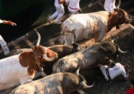 Un mozo cae en mitad del encierro y trata de protegerse de los toros.