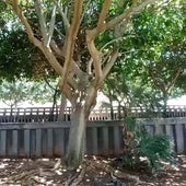 Zona en la que se produjo el incidente.