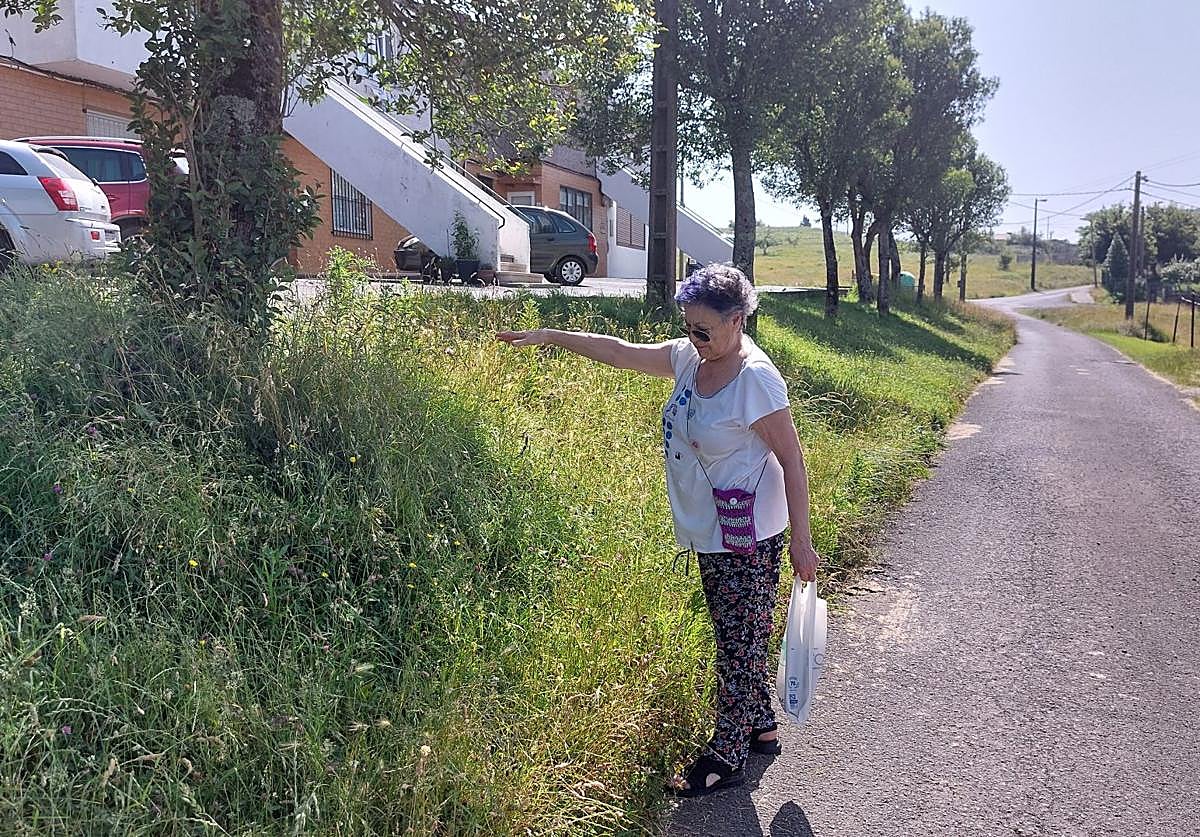 Palmira Merino muestra la altura «de unos 70 centímetros» de las hierbas sin contar desde otoño.