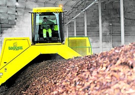 La planta de biometanización se contruirá en el denominado 'ecoparque' de Artigas