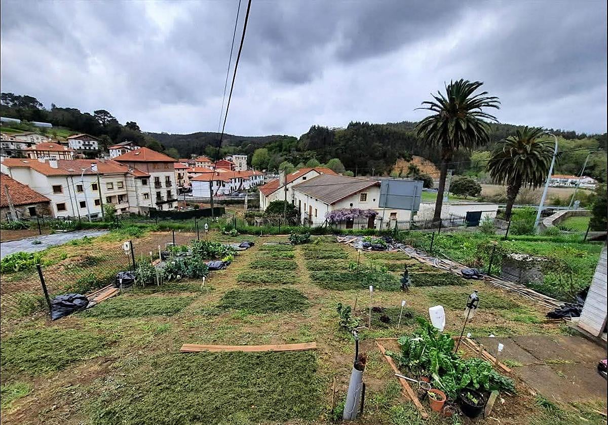Zona en la que se habilitarán los huertos.