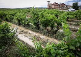 Municipios como Villabuena de Álava (en la imagen), Samaniego, Laguardia o Navaridas se llevaron lo peor del temporal con decenas de fincas anegadas.