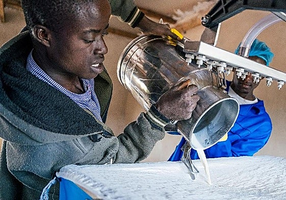 La estación de enfriamiento y conservación beneficiará a 38 ganaderos.