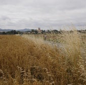Álava se refuerza contra los incendios ante un verano con «mayor riesgo»
