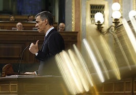 Pedro Sánchez en el Congreso de los Diputados.