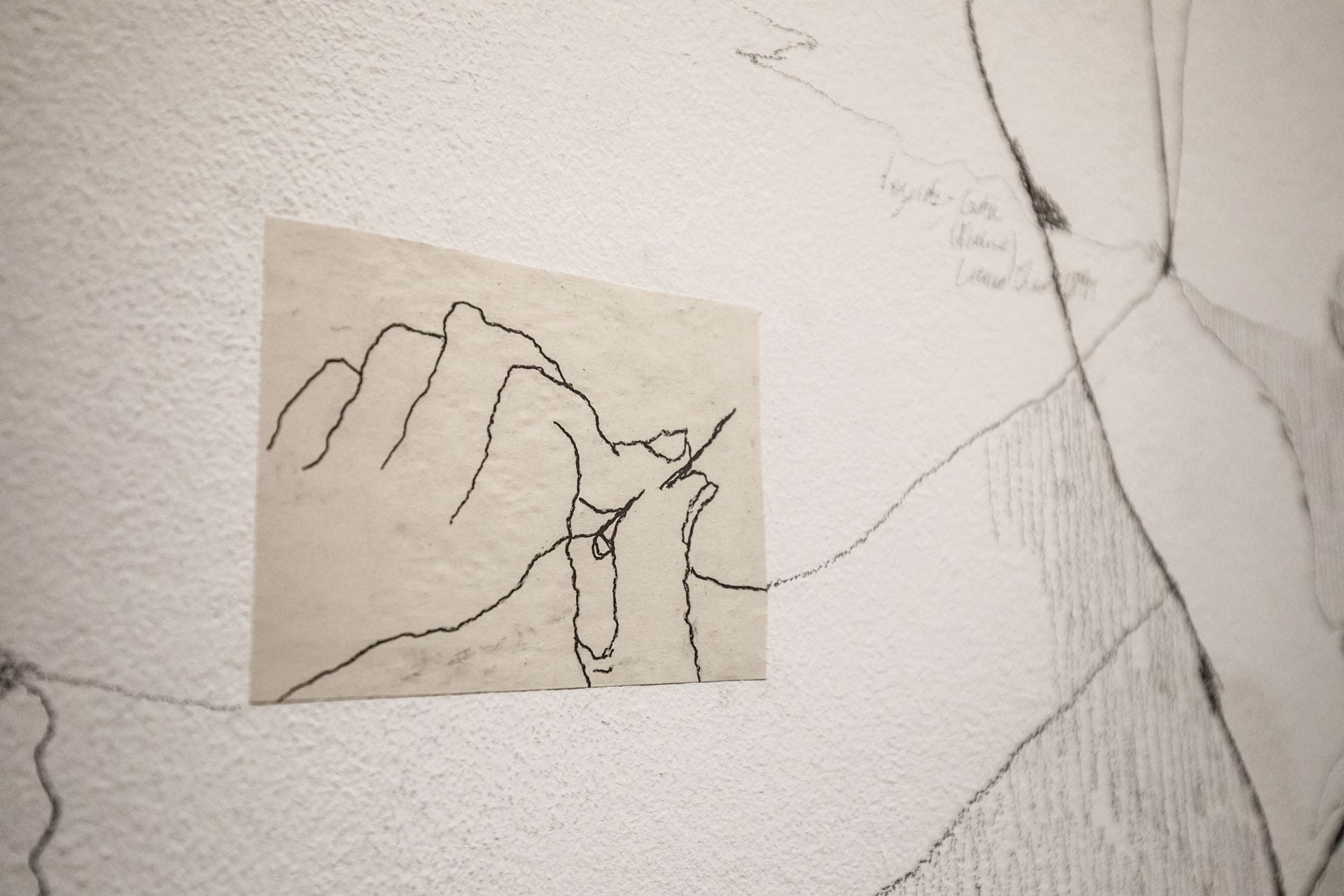 La Sala Amárica reabre con una apuesta por el arte contemporáneo local