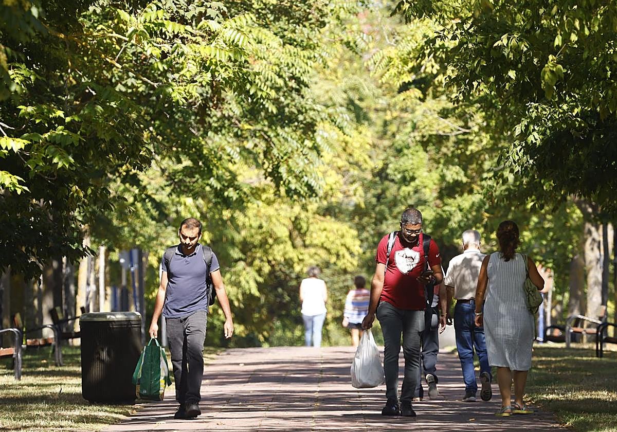 Varias personas transitan por una zona arbolada.