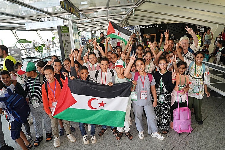 213 niños saharauis disfrutarán del verano en Euskadi.